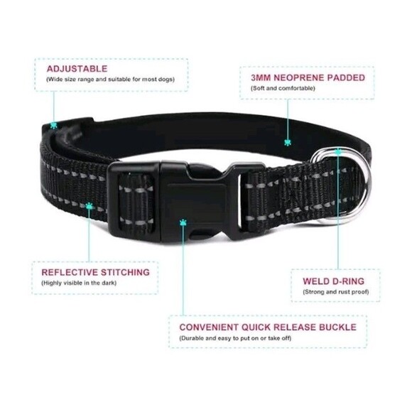 Dog Birthday Party Supplies Paw Print Balloons w Neoprene Padded Collar/Leash - Picture 7 of 12